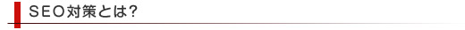 SEO�΍�Ƃ́H