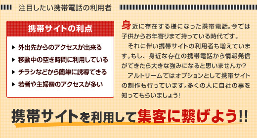 �g�уT�C�g�̗��_/�O�o�悩��̃A�N�Z�X/�ړ����̋󂫎��Ԃɗ��p���Ă���/�`���V�Ȃǂ���ȒP�ɗU���ł���/��҂��w�w�̃A�N�Z�X������