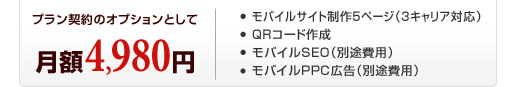 �v�����_��̃I�v�V�����Ƃ��ā@���z4,980�~�@���o�C���T�C�g����5�y�[�W�i3�L�����A�Ή��j/QR�R�[�h�쐬/���o�C��SEO�i�ʓr��p�j/���o�C��PPC�L���i�ʓr��p�j